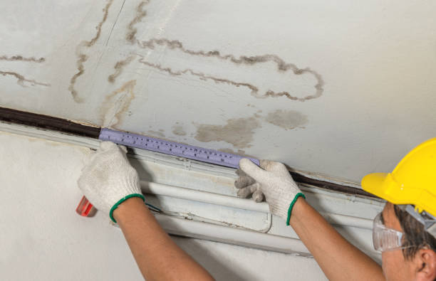 Reliable Basement Water Removal contractor in Bridgeport, WA by Water Damage Irwin